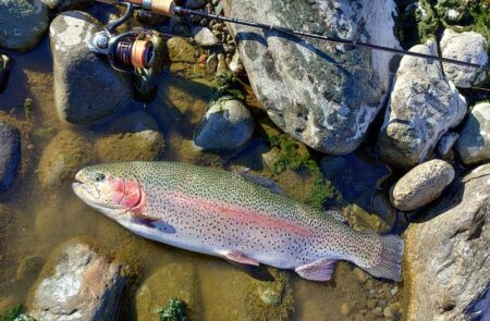 ラインブレイク多発 ～岡崎トラウトポンド～